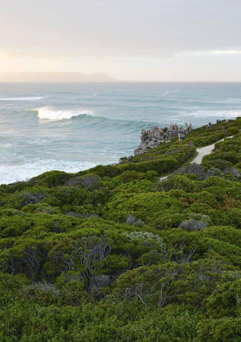 Heartwood Cottage Hermanus Extérieur photo